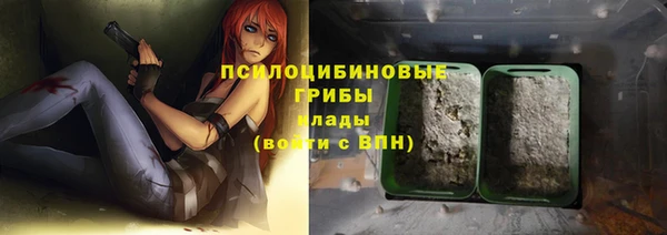 PSILOCYBIN Кулебаки