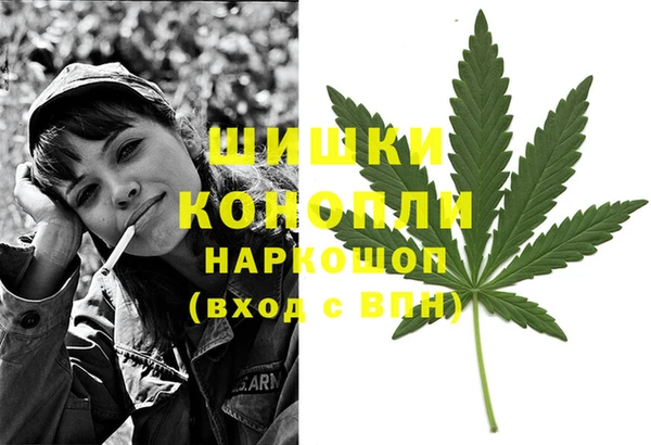 PSILOCYBIN Кулебаки
