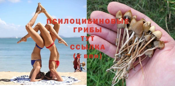 PSILOCYBIN Кулебаки