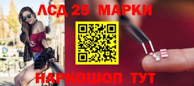 гидропоника Будённовск