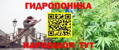 гидропоника Будённовск